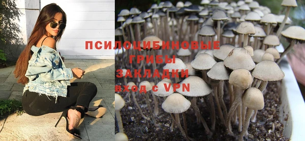 COCAINE Богданович